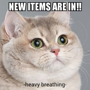 Thats Right! New things are IN!